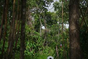 BIB: 
                            <button type="button" onclick="openModal(22241997)" class="btn btn-primary btn-sm float-right btn-popup" data-toggle="modal" data-target=".modal-high-quality">
                        <i class="fas fa-shopping-cart"></i> Add to Cart
                    </button>
                                            <button type="button" onclick="isThisMe(22241997, true)" class="btn btn-success btn-sm float-right btn-popup btn-isme hidden" data-toggle="tooltip" data-placement="bottom" title="นี่คือรูปของคุณใช่ไหม คลิกที่นี่เพื่อเอาเข้าอัลบั้ม">
                        <i class="fas fa-plus"></i> Add to album
                    </button>
                    <button type="button" onclick="isThisMe(22241997, false)" class="btn btn-warning btn-sm float-right btn-popup btn-isnotme hidden">
                        <i class="fas fa-ban"></i> Remove from album
                    </button>